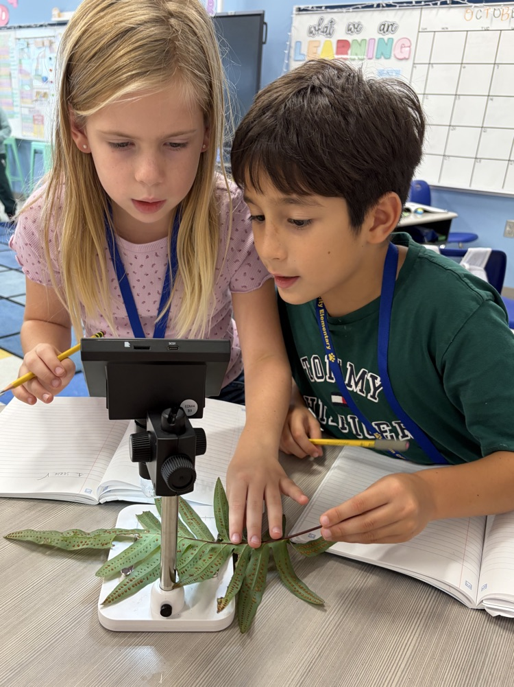 Plant Dissection