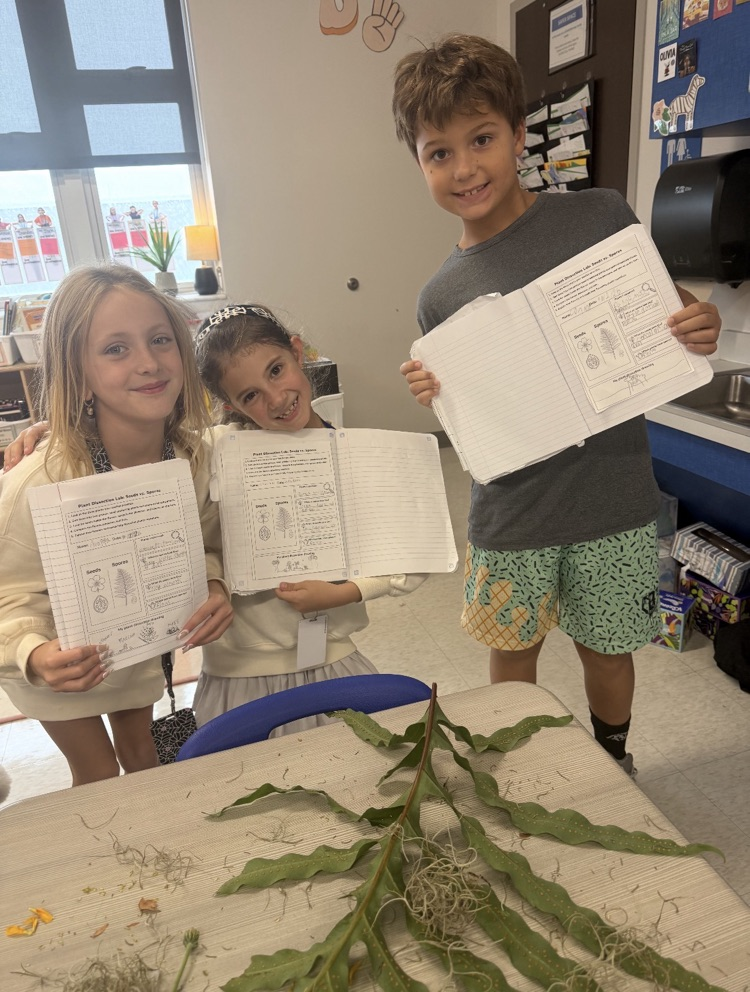 Plant Dissection
