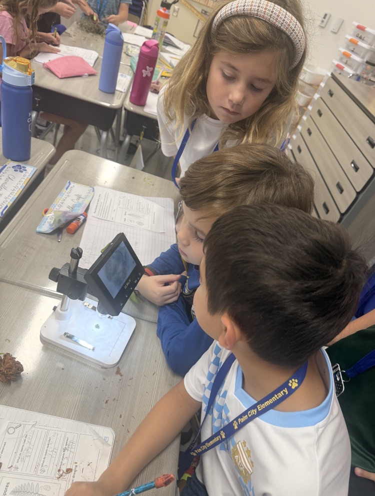 Plant Dissection