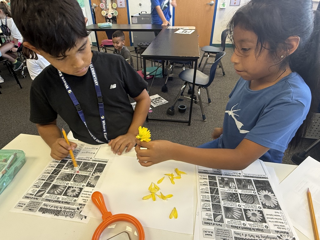 3rd grade scientist