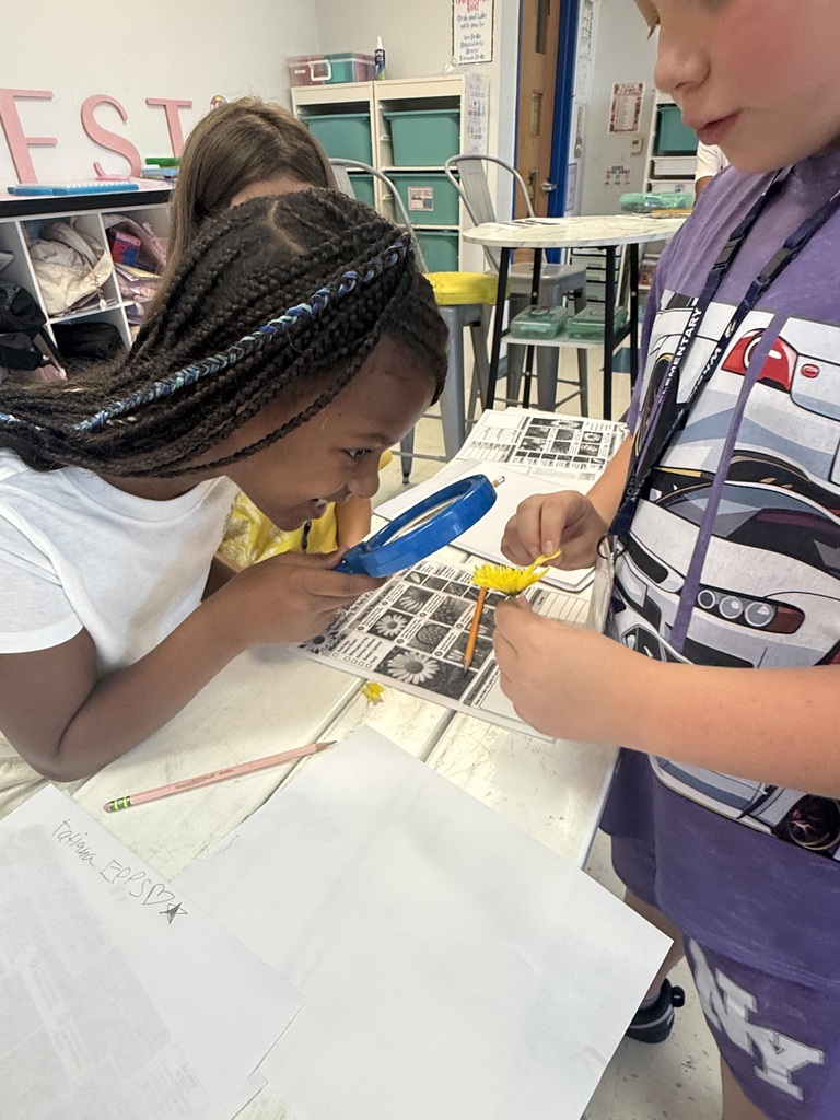 3rd grade scientists