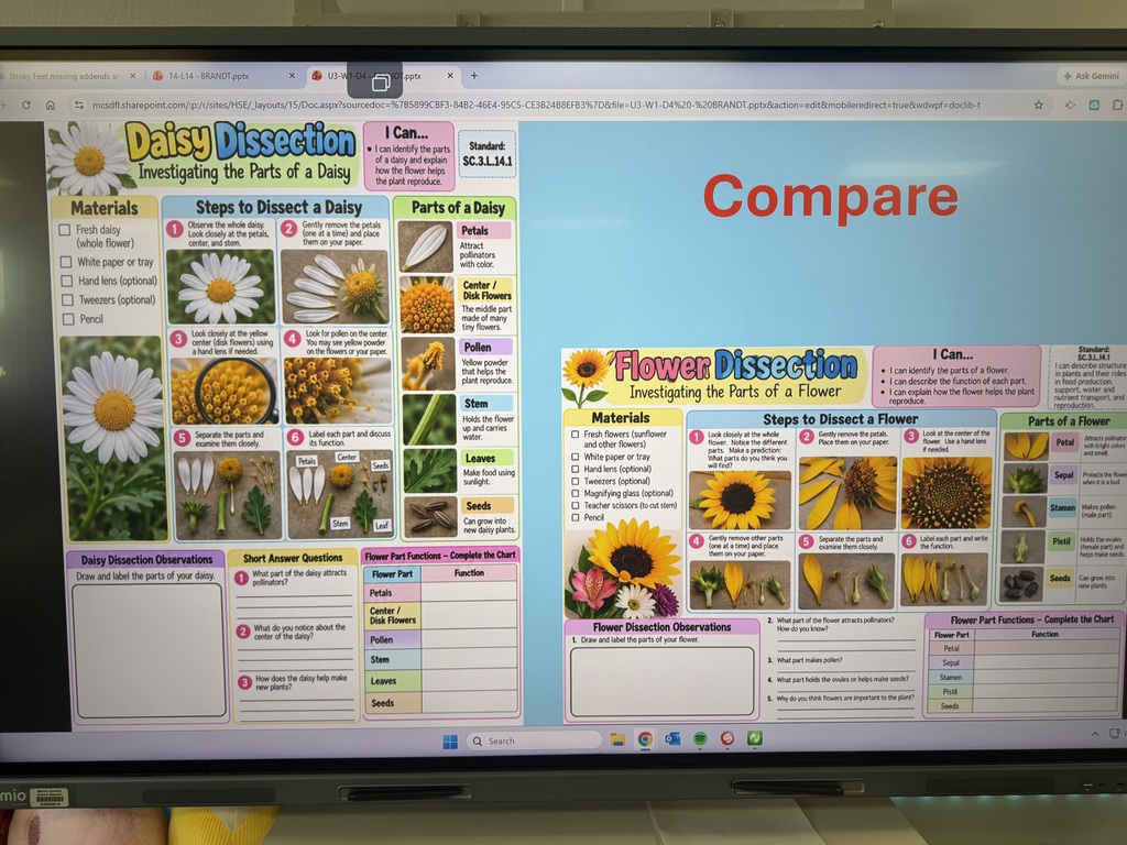 Learning target