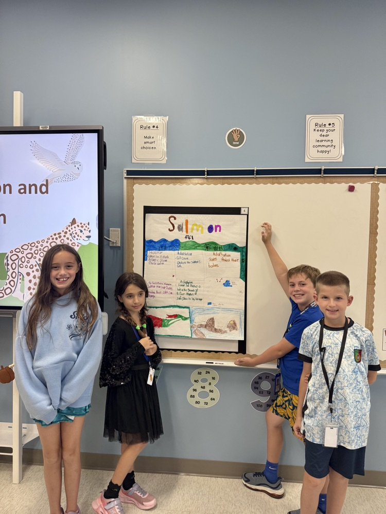 PBL 3rd Grade 