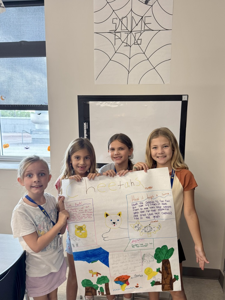 PBL 3rd Grade 