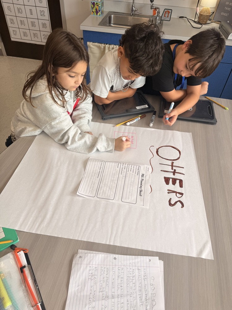 PBL 3rd Grade 