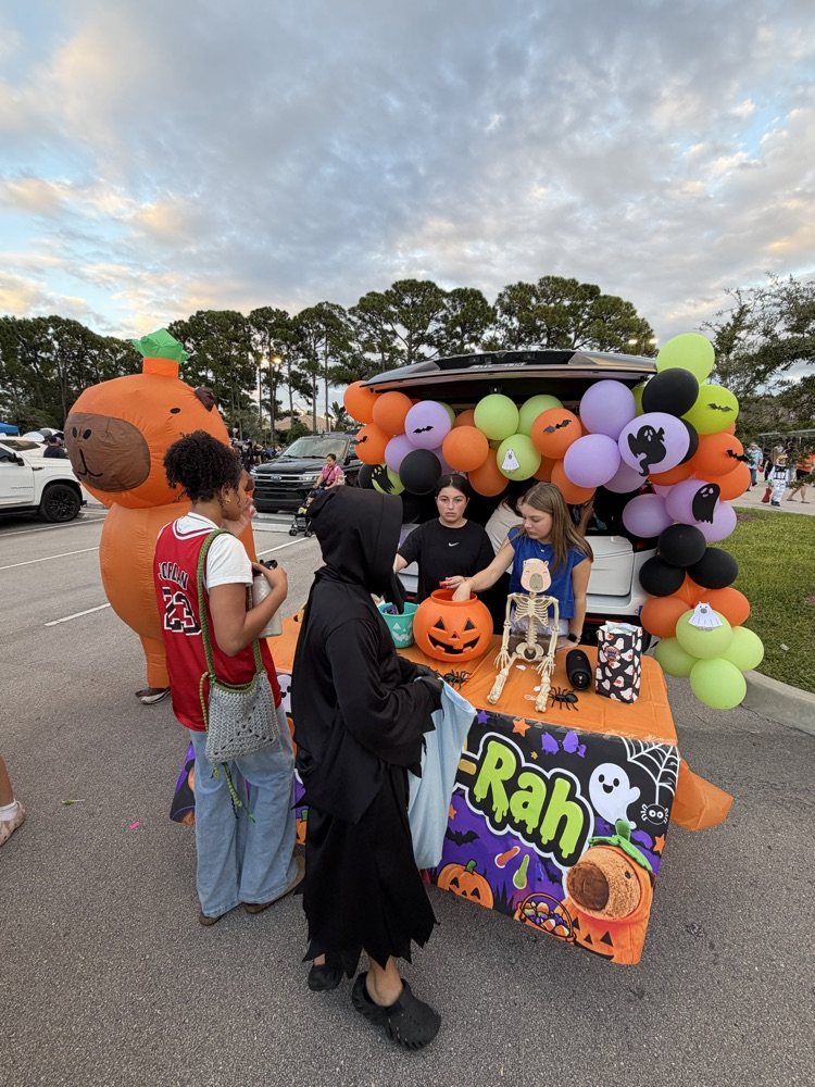 pumpkin palooza