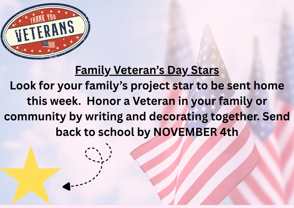 Veteran's Day Stars