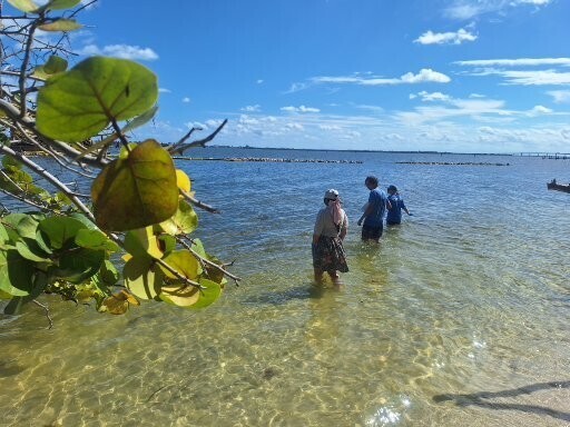 MCHS Marine Students Spend a Day in the Life of the Indian River Lagoon! 