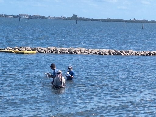 MCHS Marine Students Spend a Day in the Life of the Indian River Lagoon! 