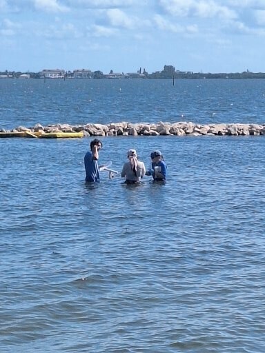 MCHS Marine Students Spend a Day in the Life of the Indian River Lagoon! 