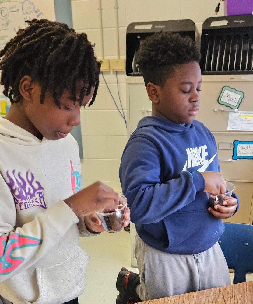 Creating a Mini Ecosystem