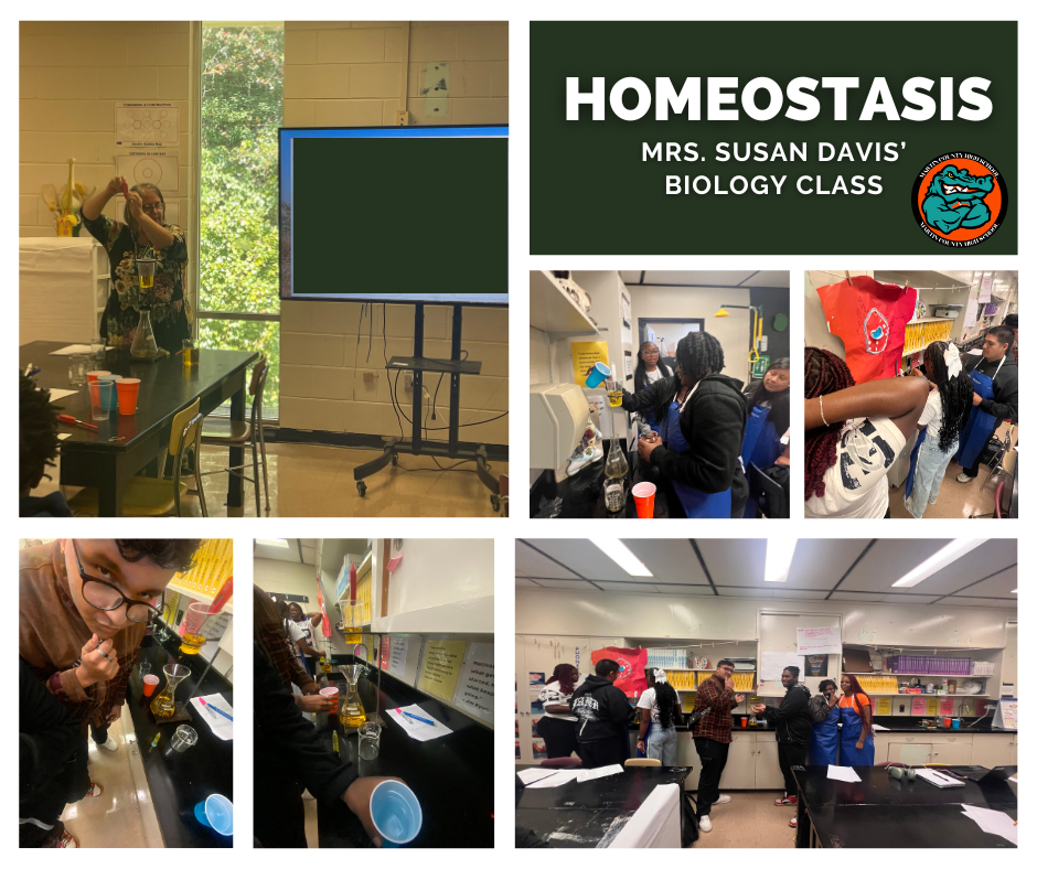 Mrs. Davis' Homeostasis