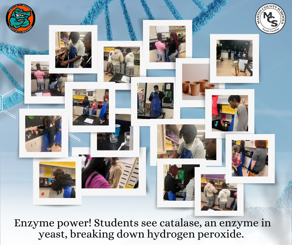 Enzyme Power