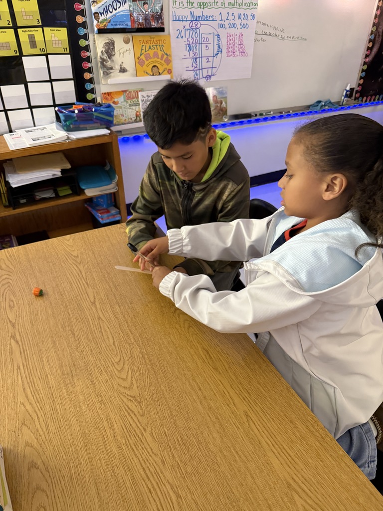 pumpkin catapults