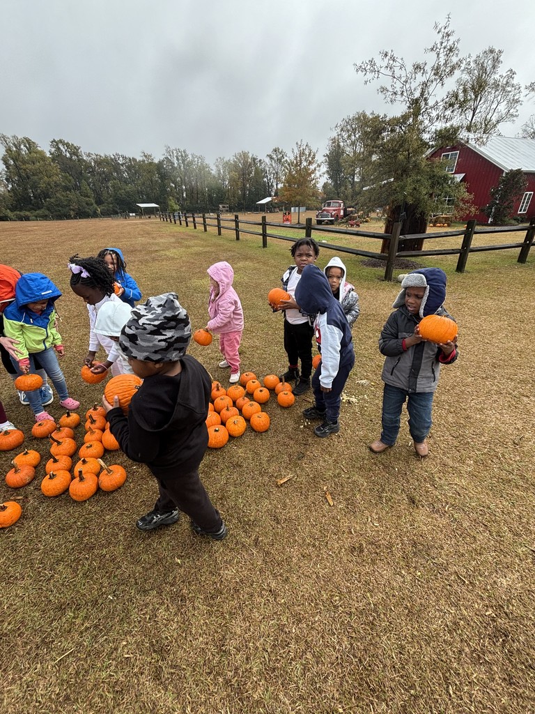 Pumpkin Patch