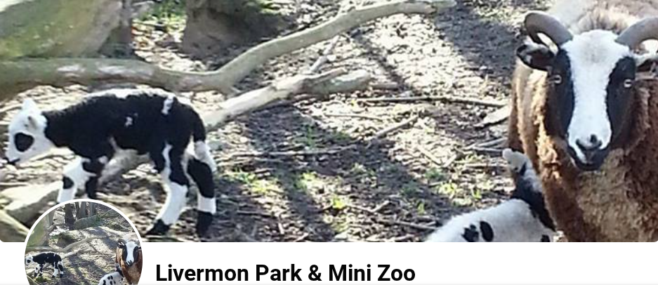 Livermon Park & Mini Zoo