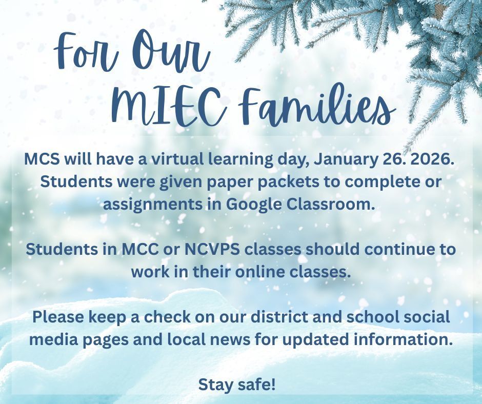 Virtual Learning Day