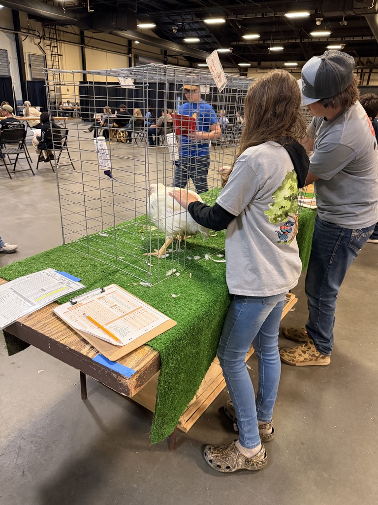Allie touching broiler