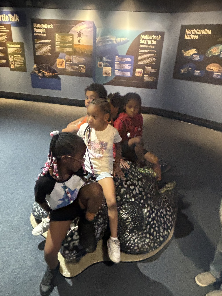Aquarium
