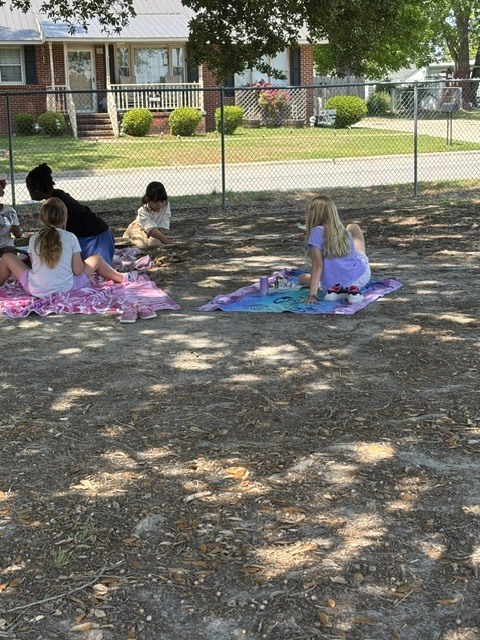 Class Picnic