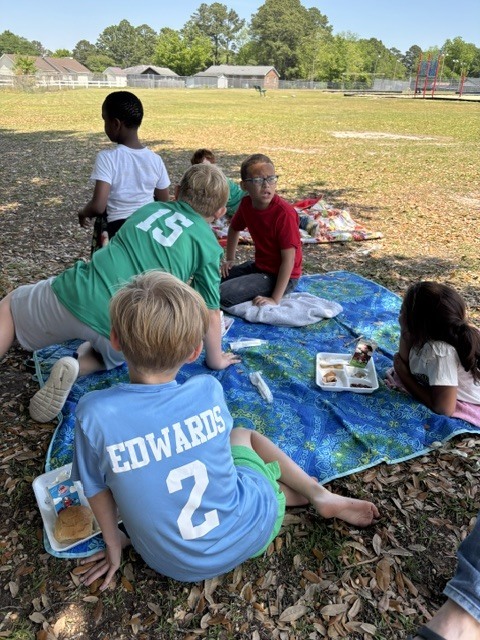 Class Picnic