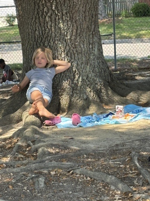 Class Picnic