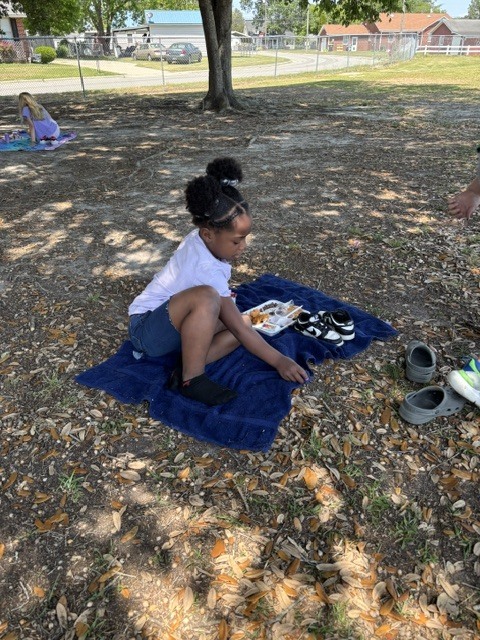 Class Picnic