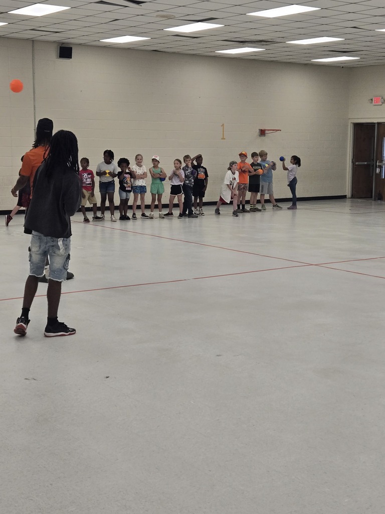 Field Day