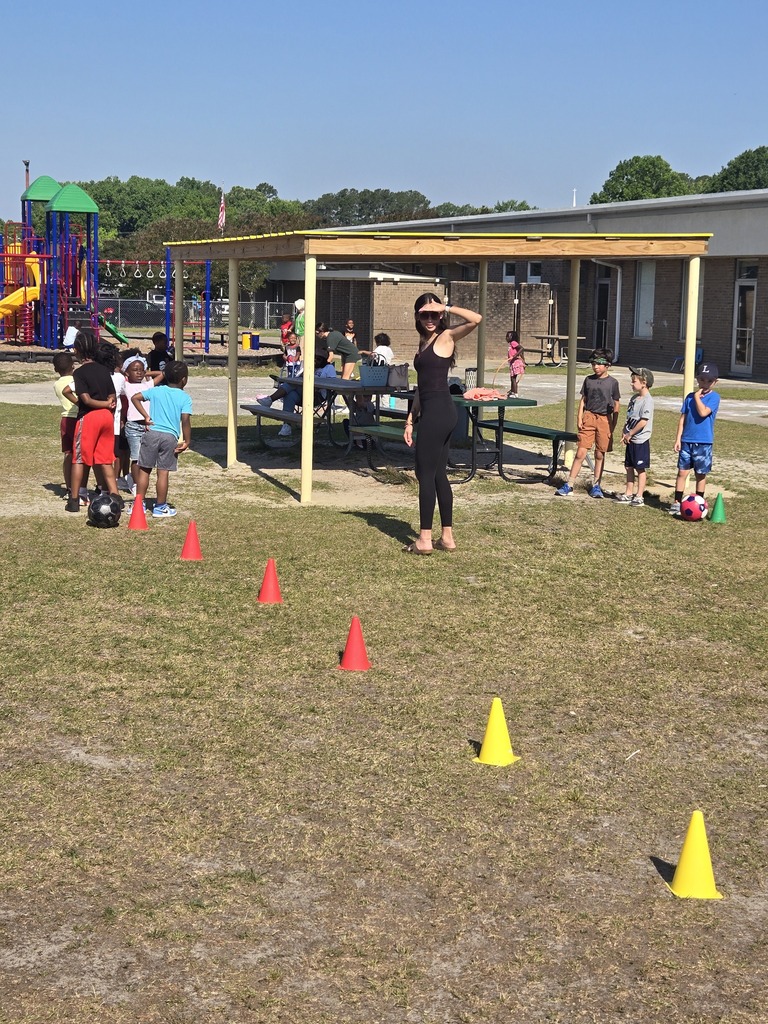 FIeld Day
