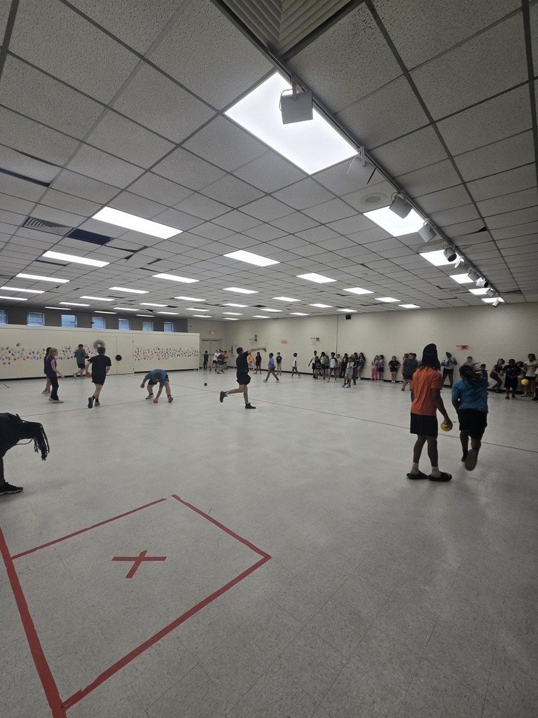 Field Day