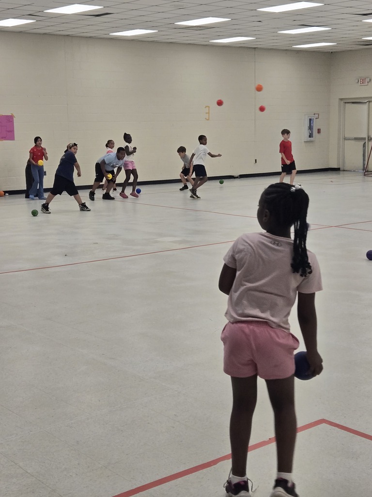 Field Day