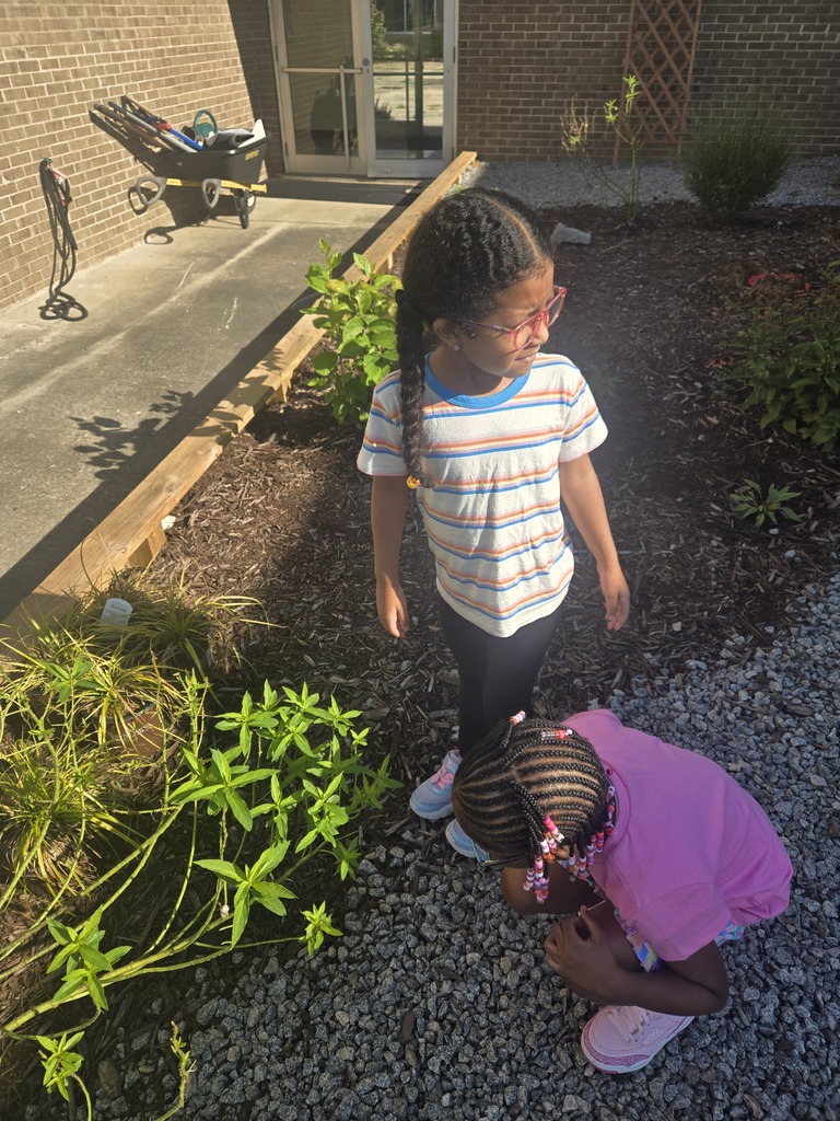 pollinator garden