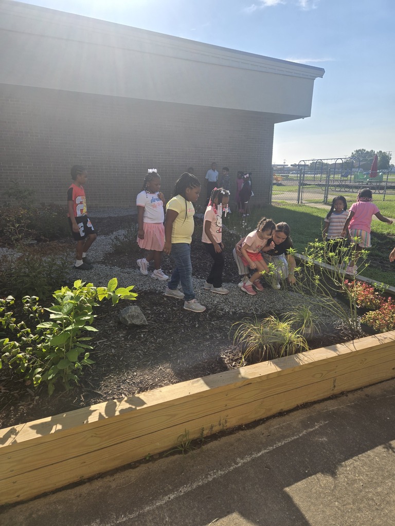 pollinator garden