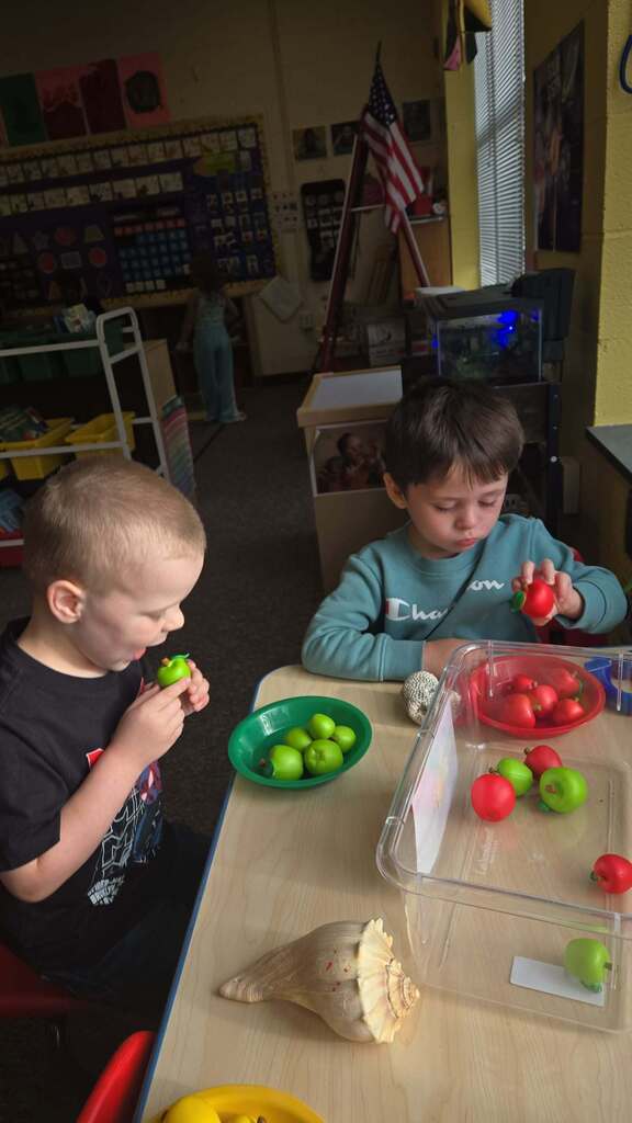 apples