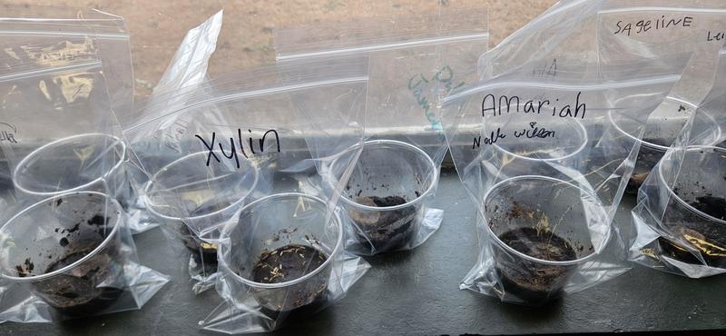 Waiting and Watching