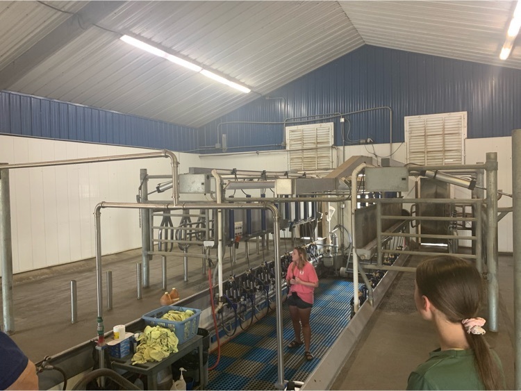 simply natural processing 