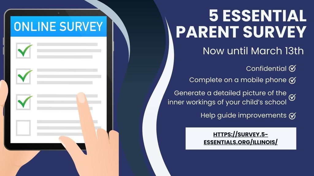 5 Essential survey