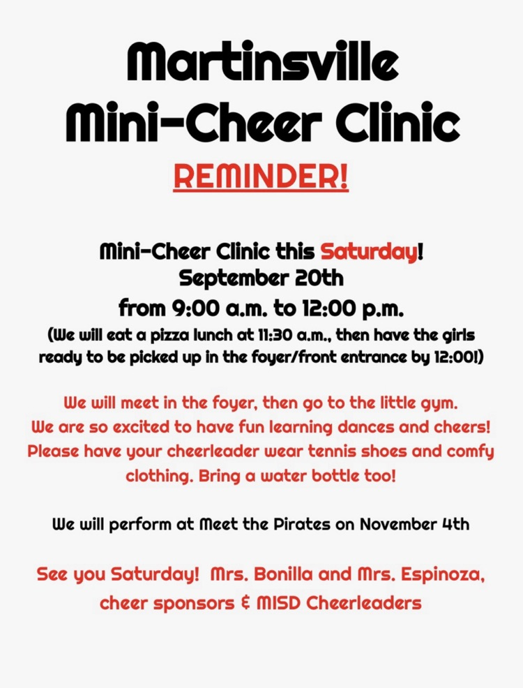 mini cheer