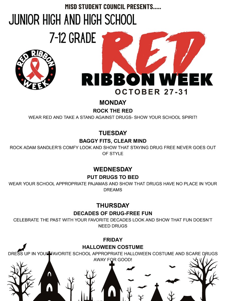 JH and HS dress up days