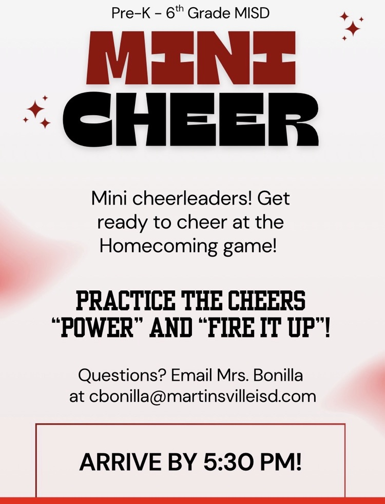 mini cheer 