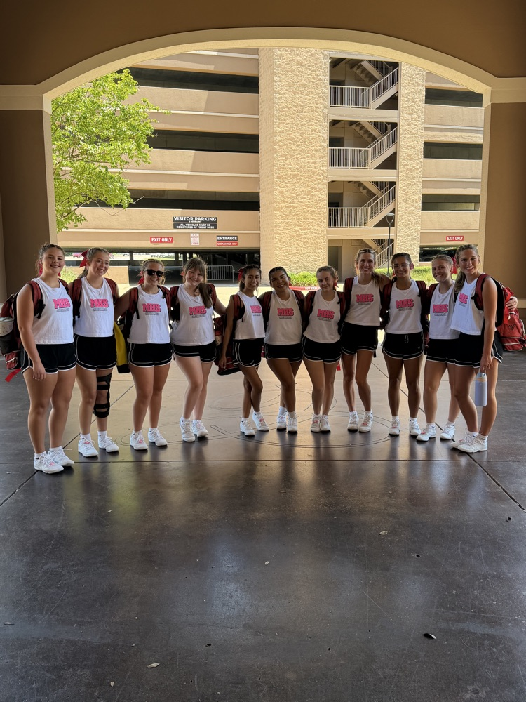 hs cheer squad