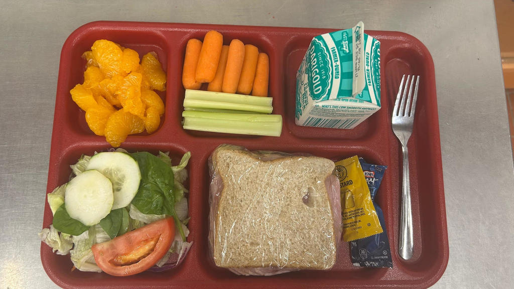 lunch tray with sandwich