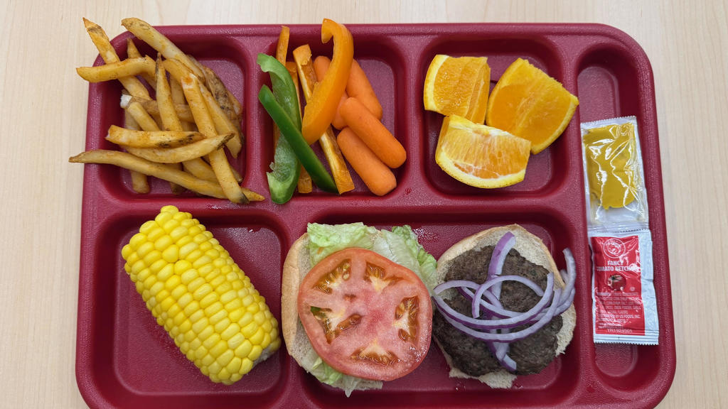 Hamburger Food Tray