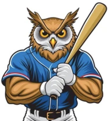OWL Baseball