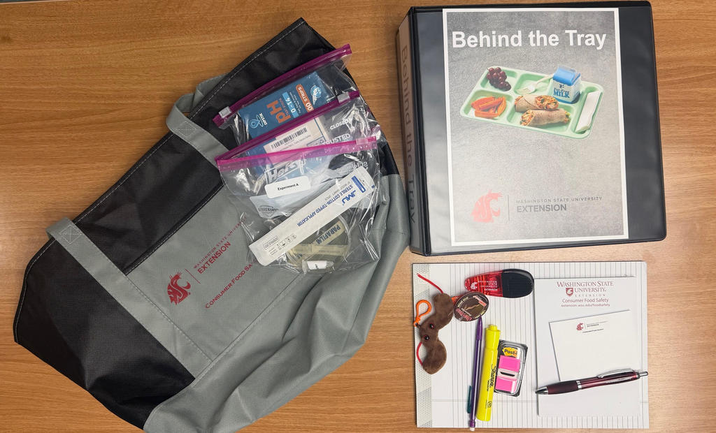 Behind the Tray Tool Kit