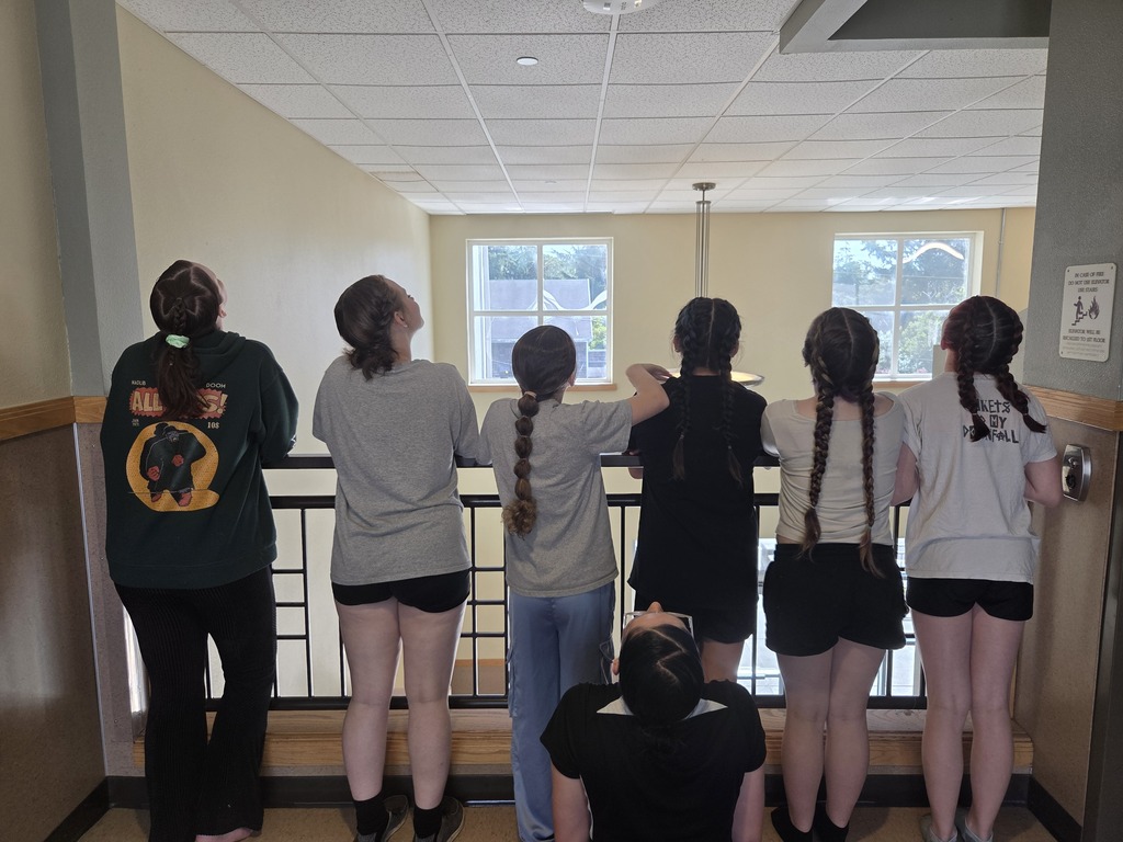 BNB Girls Hair