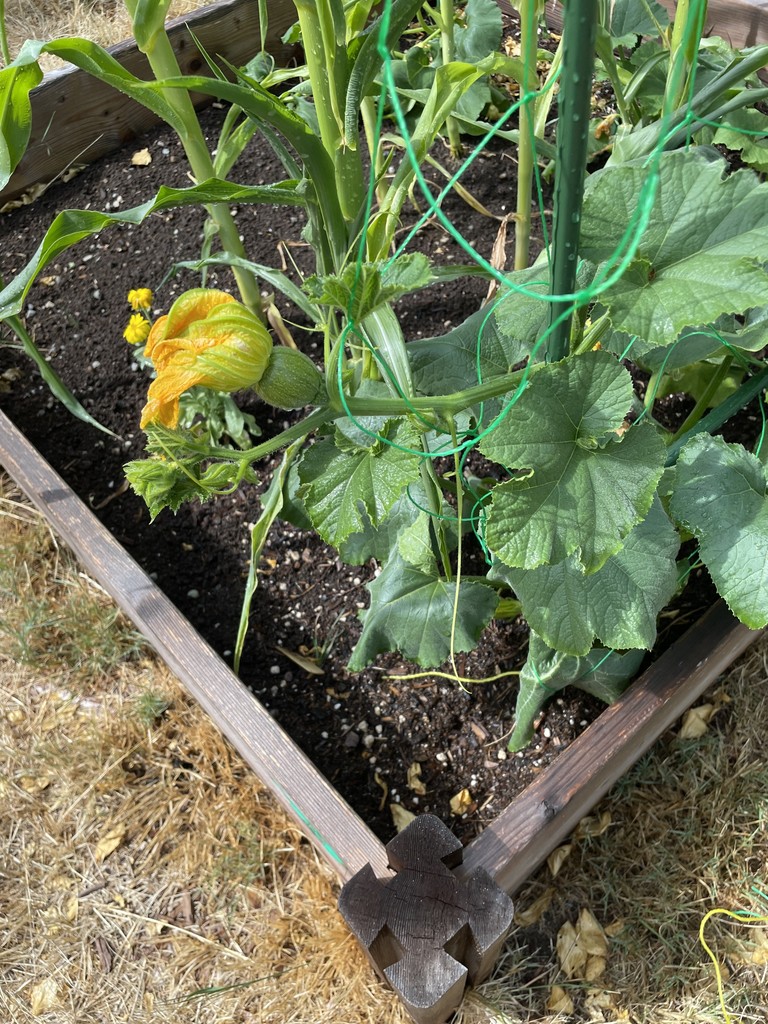 garden im2age 