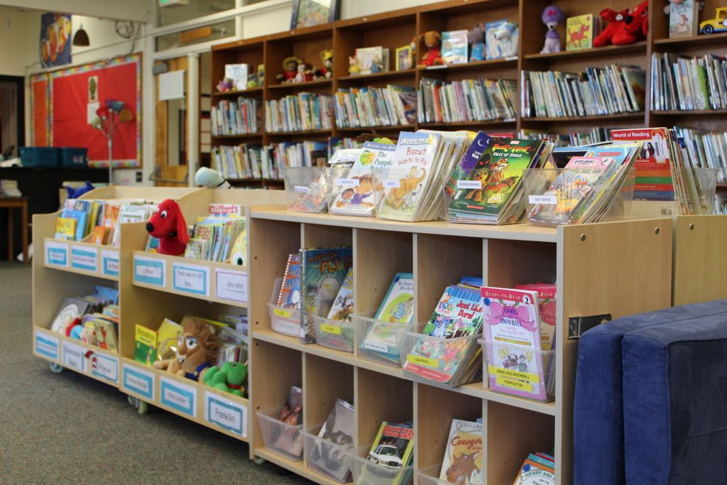 Bookshelves full of colorful books are pictured
