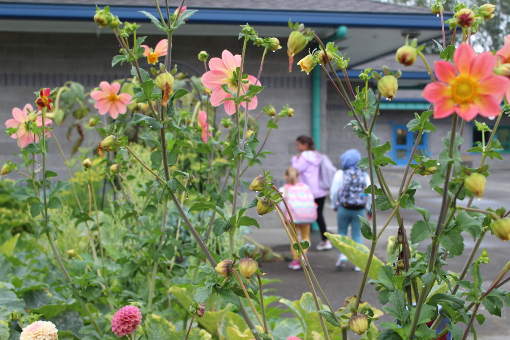 Children are seen amidst some flowers