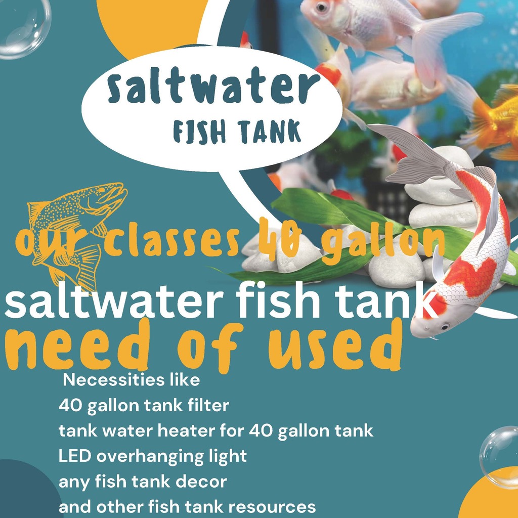 Needed Aquarium supplies - Sidney OCHELTREE 2025